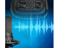 Manta ZESTAW MUZYCZNY MANTA SPK1001B300 - 1378044 - zdjęcie 7